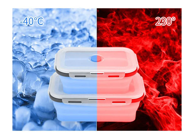 Bento Lunch Box