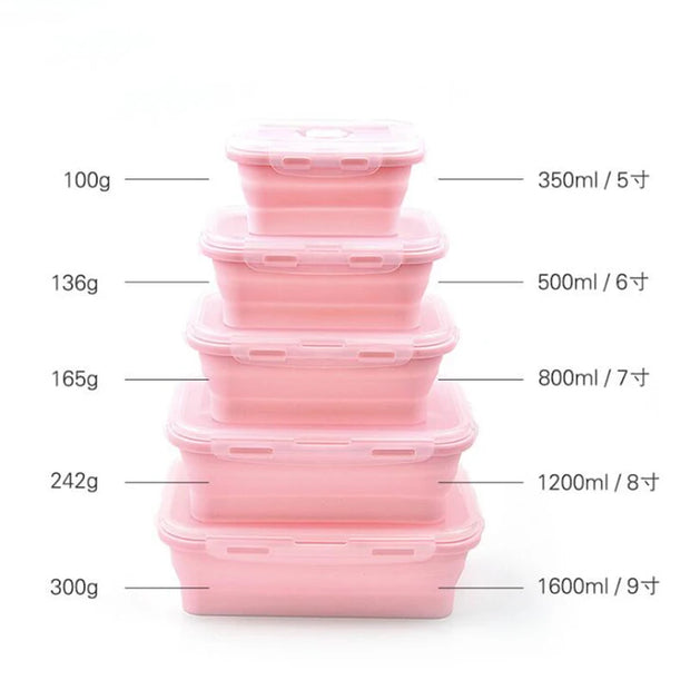 Bento Lunch Box